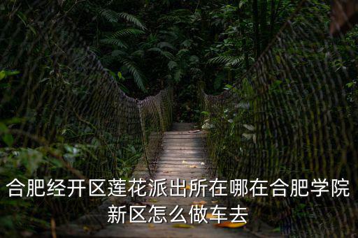 合肥經開區蓮花派出所在哪在合肥學院新區怎么做車去