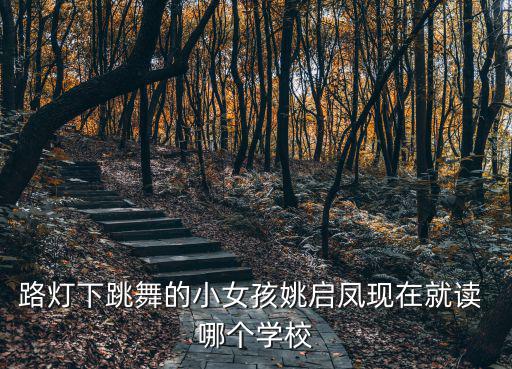 路燈下跳舞的小女孩姚啟鳳現在就讀 哪個學校