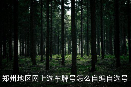 鄭州地區網上選車牌號怎么自編自選號