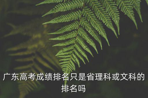 廣東高考成績排名只是省理科或文科的排名嗎