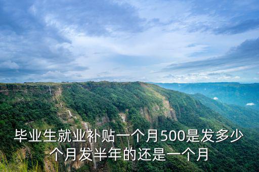 畢業(yè)生就業(yè)補貼一個月500是發(fā)多少個月發(fā)半年的還是一個月