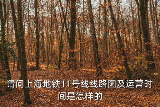 請問上海地鐵11號線線路圖及運營時間是怎樣的