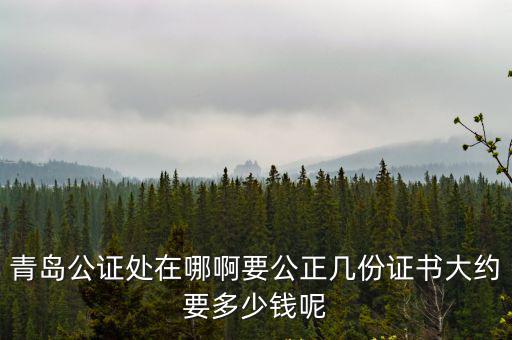 青島公證處，青島公證處在哪啊要公正幾份證書大約要多少錢呢