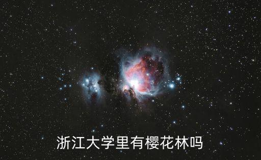 浙江大學里有櫻花林嗎