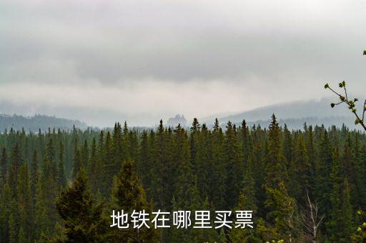 地鐵在哪里買票
