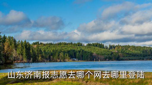 山東濟南報志愿去哪個網去哪里登陸