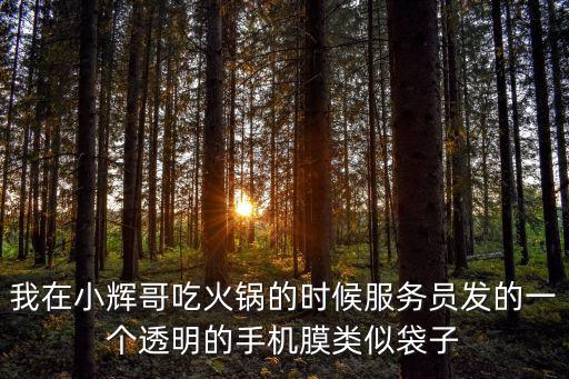 我在小輝哥吃火鍋的時候服務員發的一個透明的手機膜類似袋子