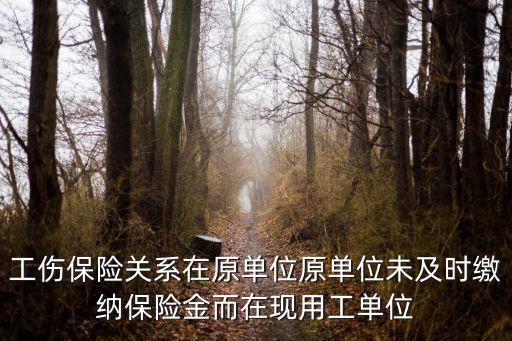 工傷保險關系在原單位原單位未及時繳納保險金而在現用工單位