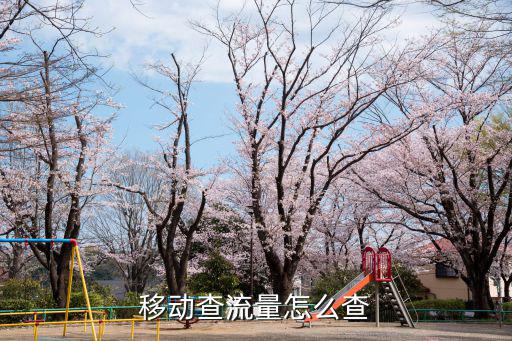 移動查流量怎么查