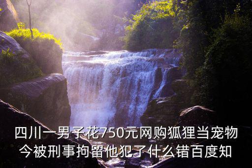 四川一男子花750元網(wǎng)購(gòu)狐貍當(dāng)寵物今被刑事拘留他犯了什么錯(cuò)百度知