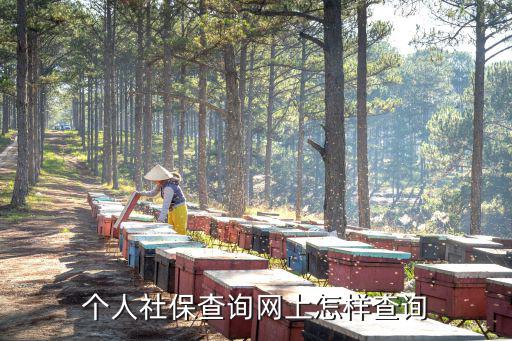 個人社保查詢網上怎樣查詢