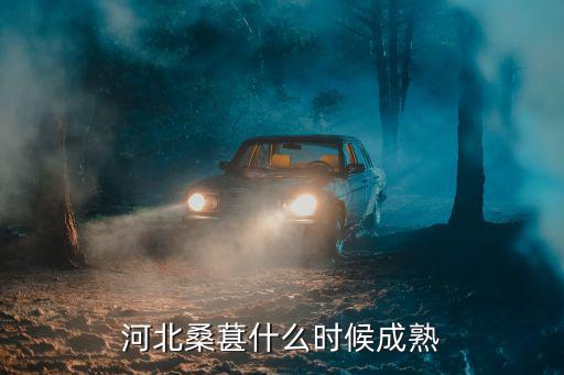 河北桑葚什么時候成熟