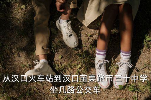 從漢口火車站到漢口苗栗路市三十中學坐幾路公交車