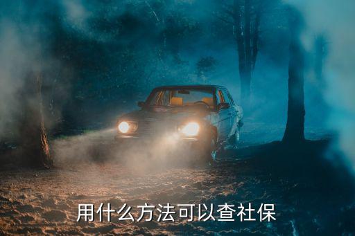 用什么方法可以查社保