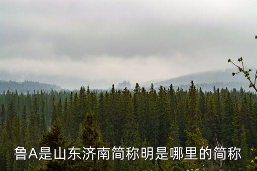 魯A是山東濟南簡稱明是哪里的簡稱