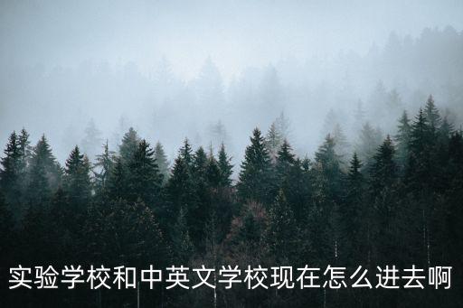 實驗學校和中英文學?，F在怎么進去啊