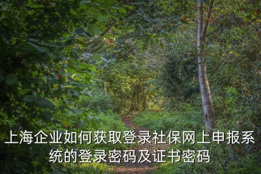 上海企業如何獲取登錄社保網上申報系統的登錄密碼及證書密碼