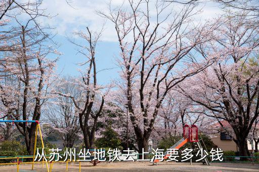 上海蘇州地鐵，從蘇州坐地鐵去上海要多少錢