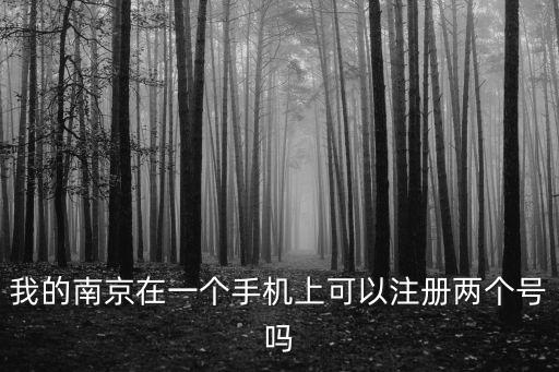我的南京在一個手機上可以注冊兩個號嗎