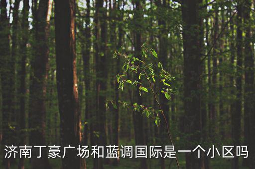 濟南丁豪廣場和藍調國際是一個小區嗎