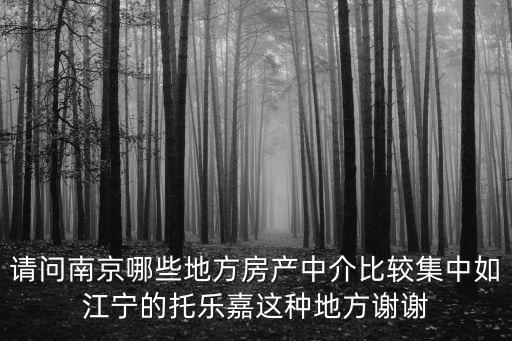 請問南京哪些地方房產(chǎn)中介比較集中如江寧的托樂嘉這種地方謝謝