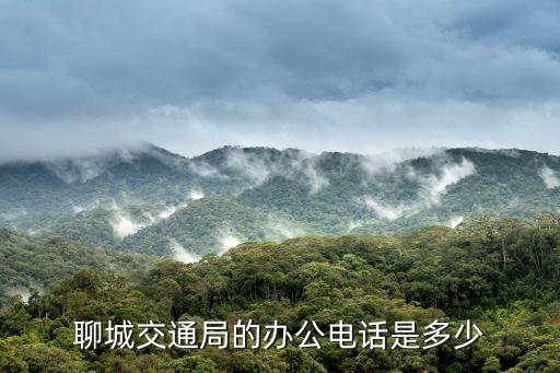 交通局電話，聊城交通局的辦公電話是多少
