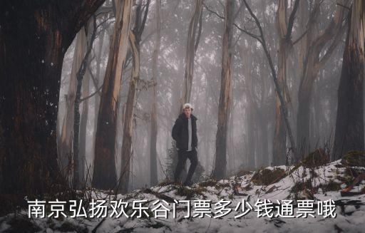 南京弘揚歡樂谷門票多少錢通票哦