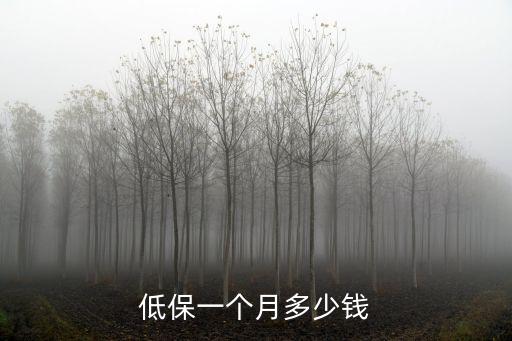 低保一個月多少錢