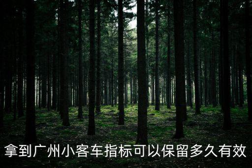 廣州中小客車指標管理系統，廣州中小型客車牌照怎樣在網上申請怎么進入謝謝