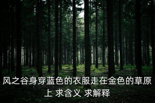 風(fēng)之谷身穿藍色的衣服走在金色的草原上 求含義 求解釋
