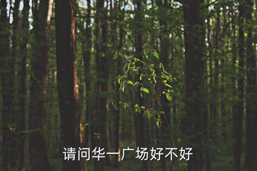 請(qǐng)問(wèn)華一廣場(chǎng)好不好