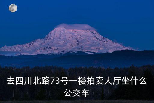 四川公車拍賣，在四川遂寧購買的車可否在上海代審