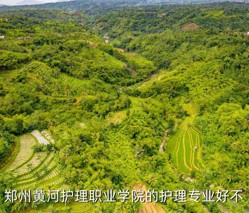 鄭州黃河護理職業學院的護理專業好不
