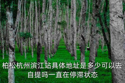 柏松杭州濱江站具體地址是多少可以去自提嗎一直在停滯狀態(tài)