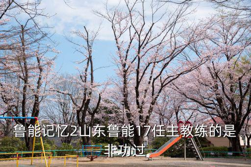山東魯能，誰知道山東魯能是哪年成立的啊