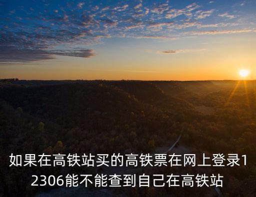 如果在高鐵站買的高鐵票在網上登錄12306能不能查到自己在高鐵站