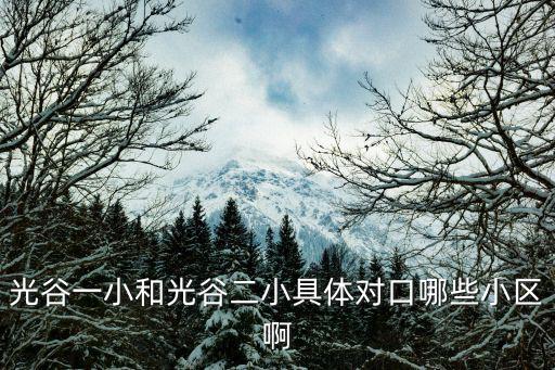 光谷一小和光谷二小具體對口哪些小區啊