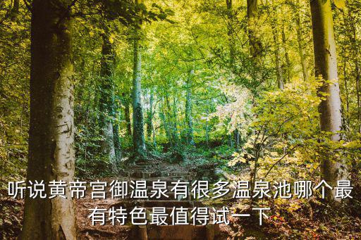 聽說黃帝宮御溫泉有很多溫泉池哪個最有特色最值得試一下