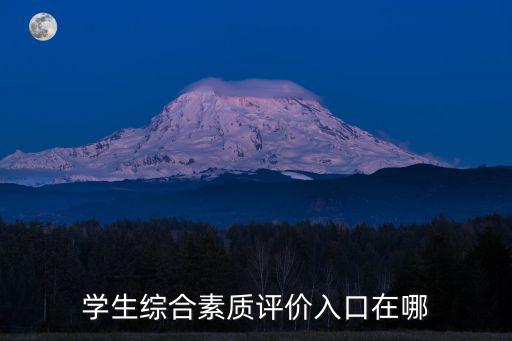 學生綜合素質評價入口在哪