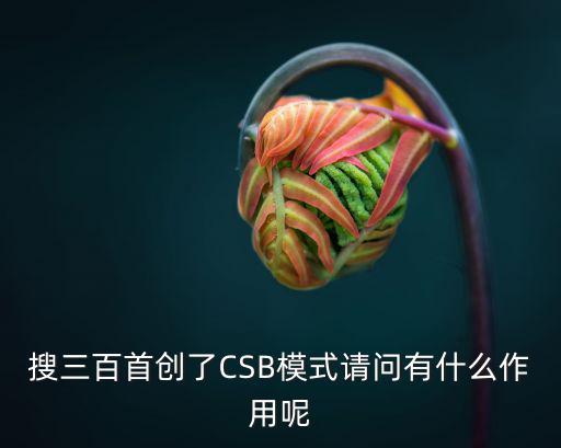 搜三百首創了CSB模式請問有什么作用呢
