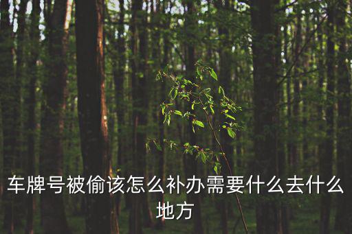 車牌號被偷該怎么補辦需要什么去什么地方
