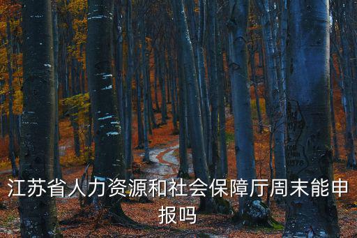 江蘇省人力資源和社會保障廳周末能申報嗎