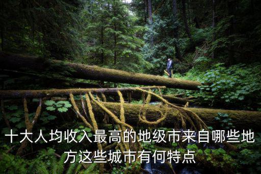 十大人均收入最高的地級市來自哪些地方這些城市有何特點