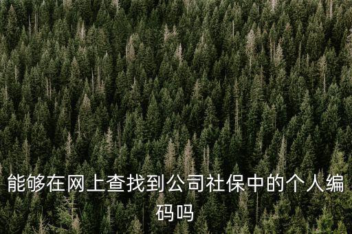 能夠在網上查找到公司社保中的個人編碼嗎