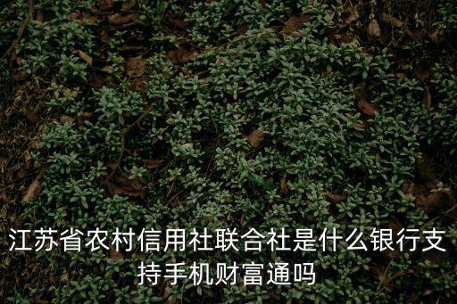 江蘇省農(nóng)村信用社聯(lián)合社是什么銀行支持手機(jī)財(cái)富通嗎
