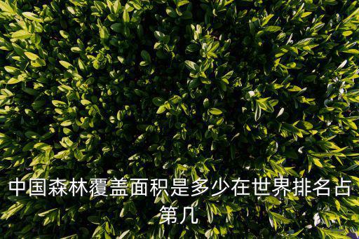 中國森林覆蓋面積是多少在世界排名占第幾