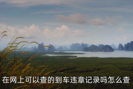 在網上可以查的到車違章記錄嗎怎么查