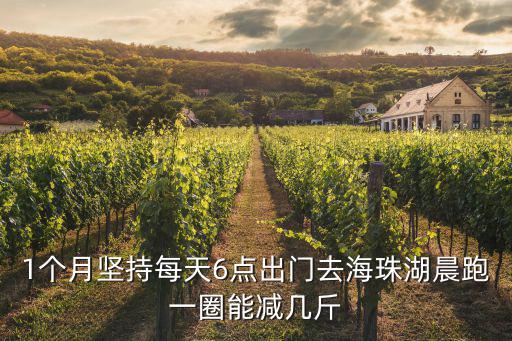 1個月堅持每天6點出門去海珠湖晨跑一圈能減幾斤