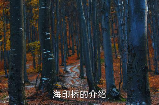 海印橋的介紹