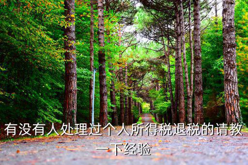 有沒有人處理過(guò)個(gè)人所得稅退稅的請(qǐng)教一下經(jīng)驗(yàn)